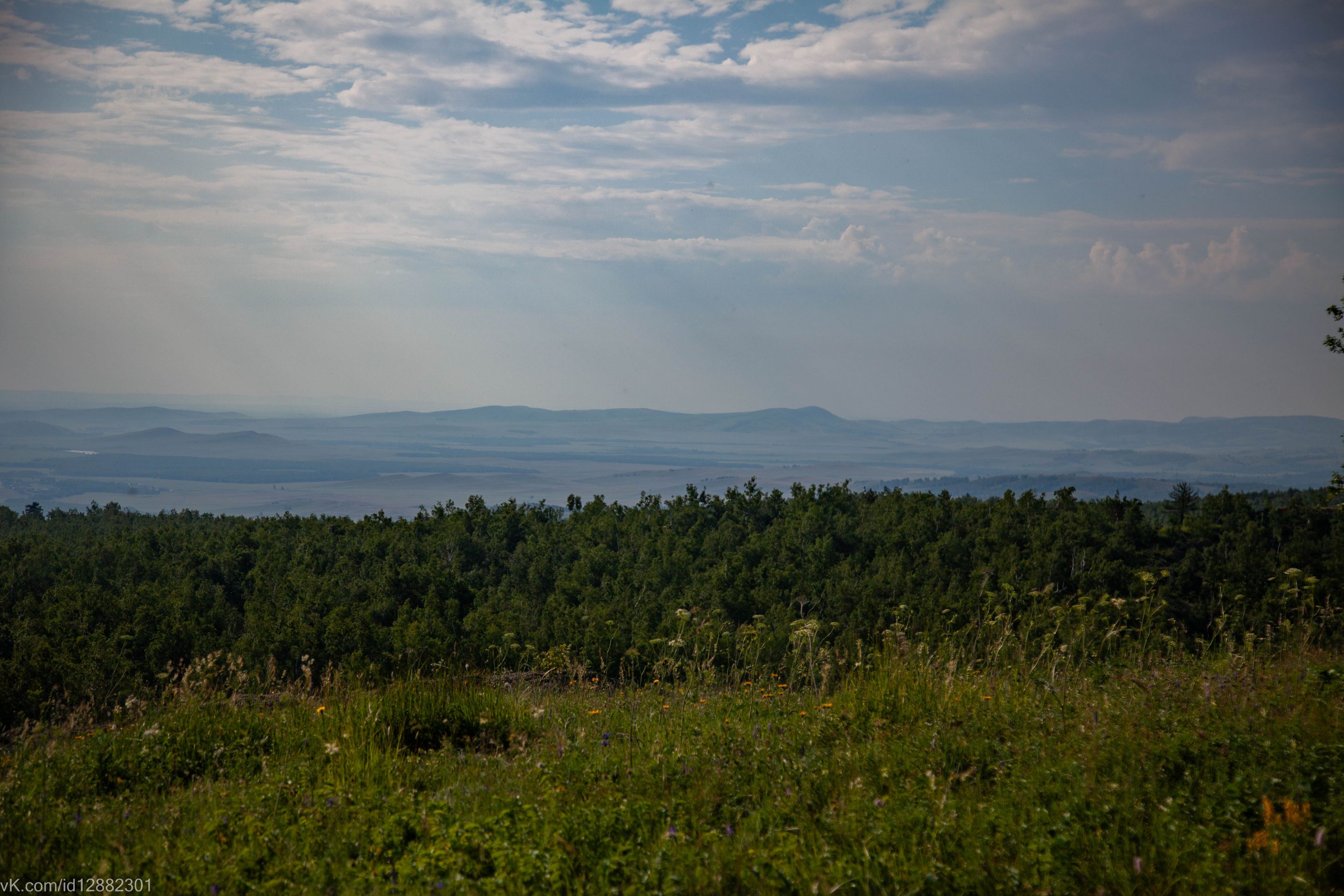 IMG_1462.jpg