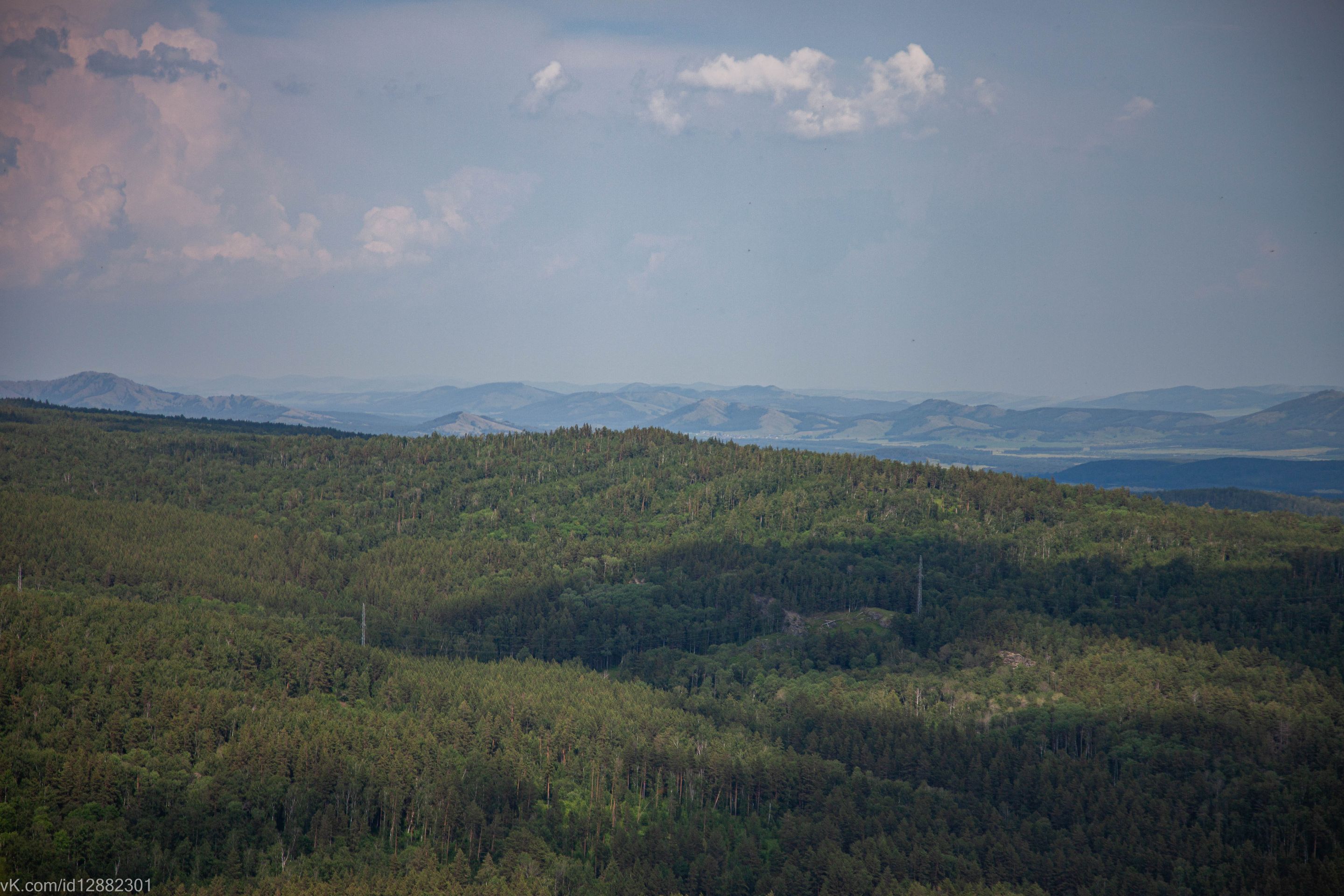 IMG_1614.jpg