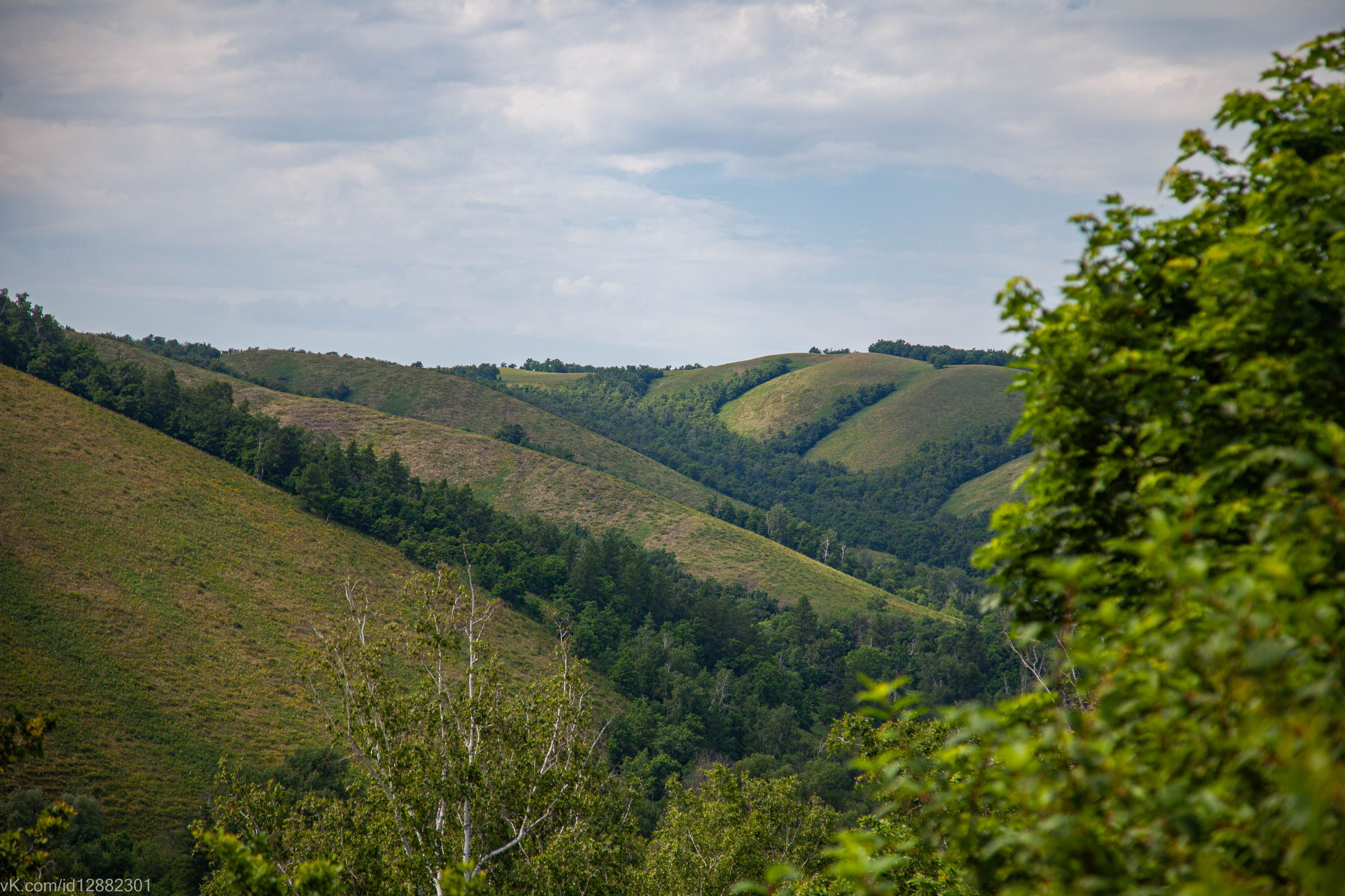 IMG_1279.jpg