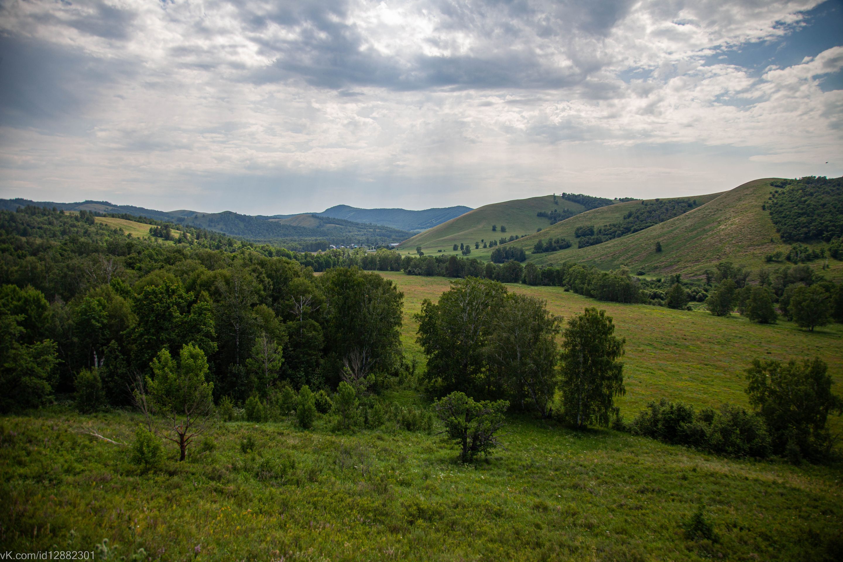 IMG_1286.jpg