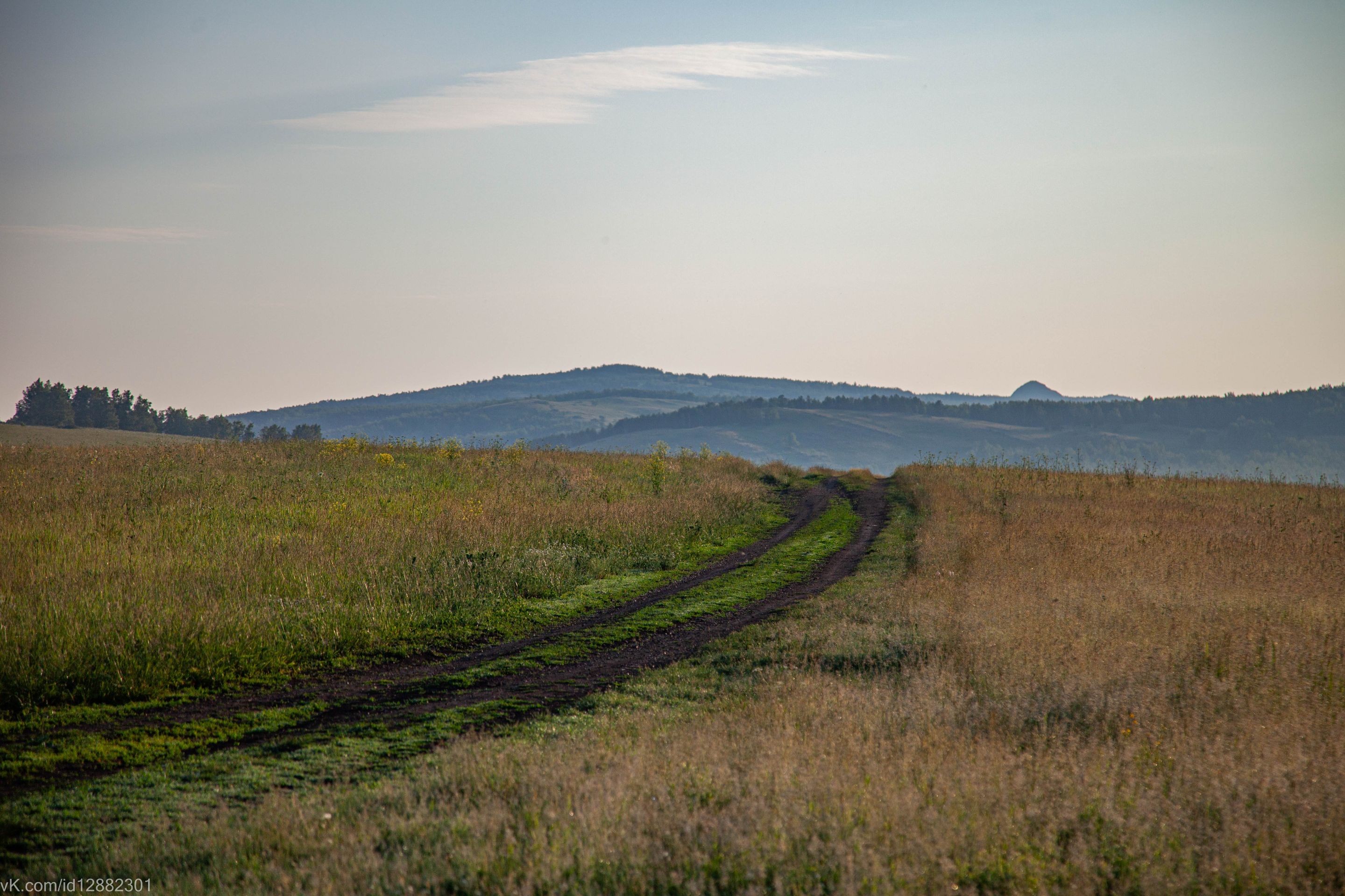 IMG_1450.jpg