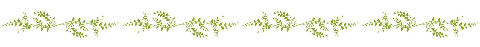 cintillo_flores-removebg-preview (1).png