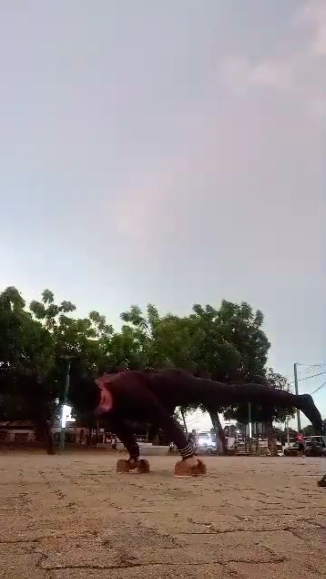 1755052322255.jpg