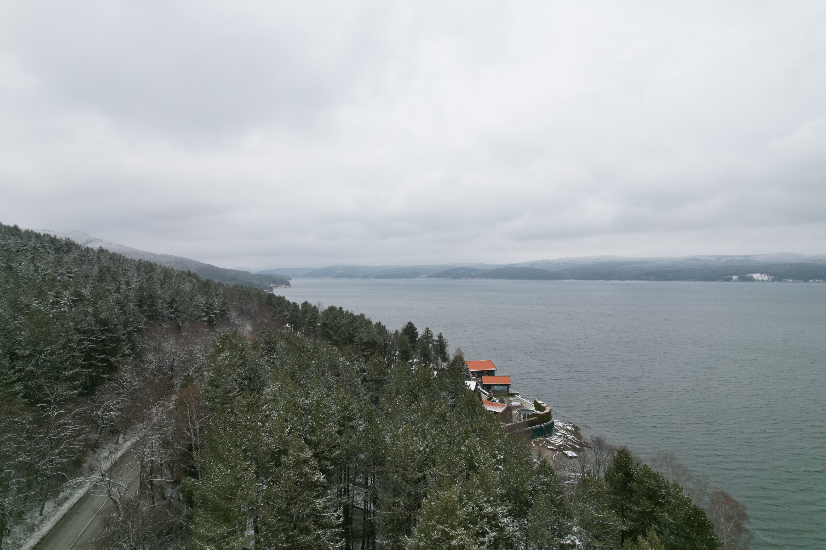 425D6315-3524-462D-AE67-CECE33F6AB93.jpeg