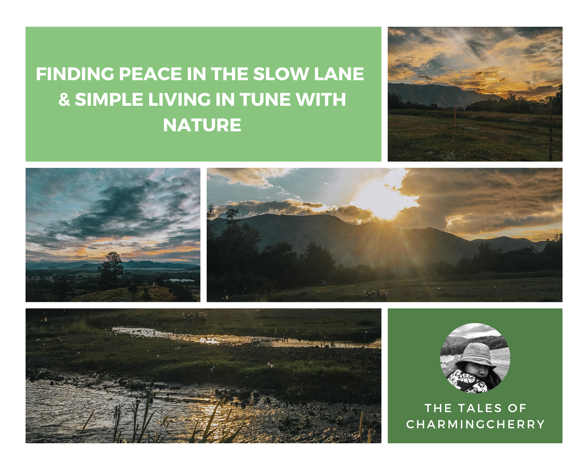 Blog Banner - charmingcherry (1).png