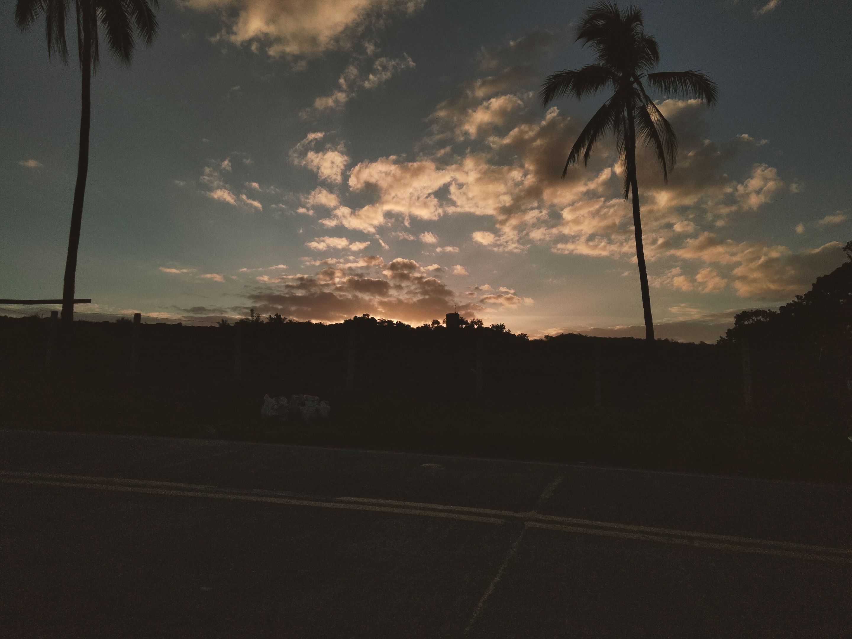 IMG20240119172440.jpg