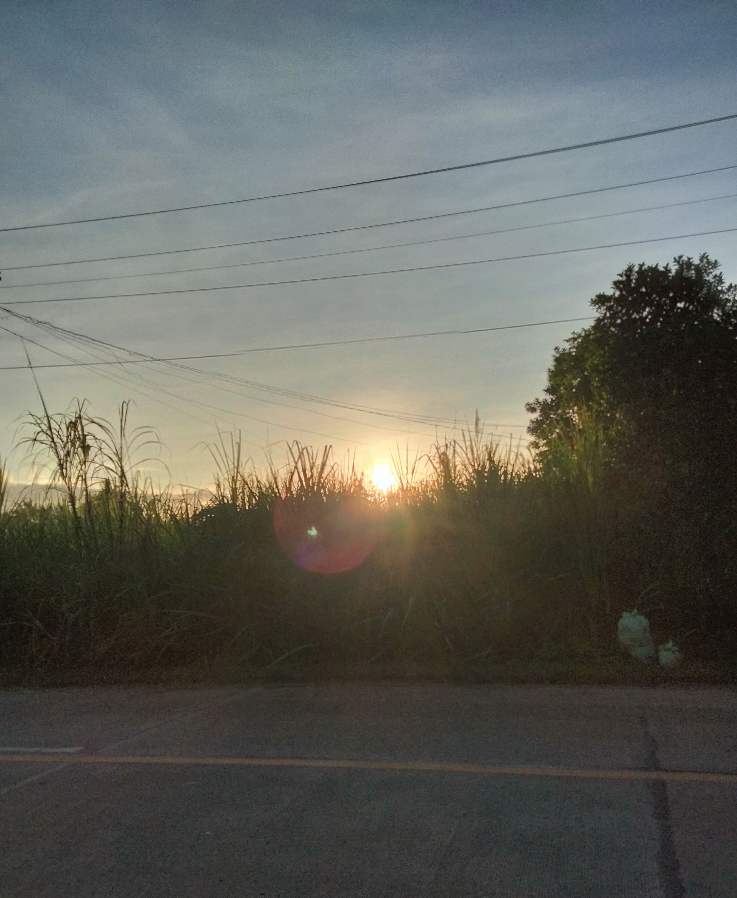 IMG_20231228_095856.jpg