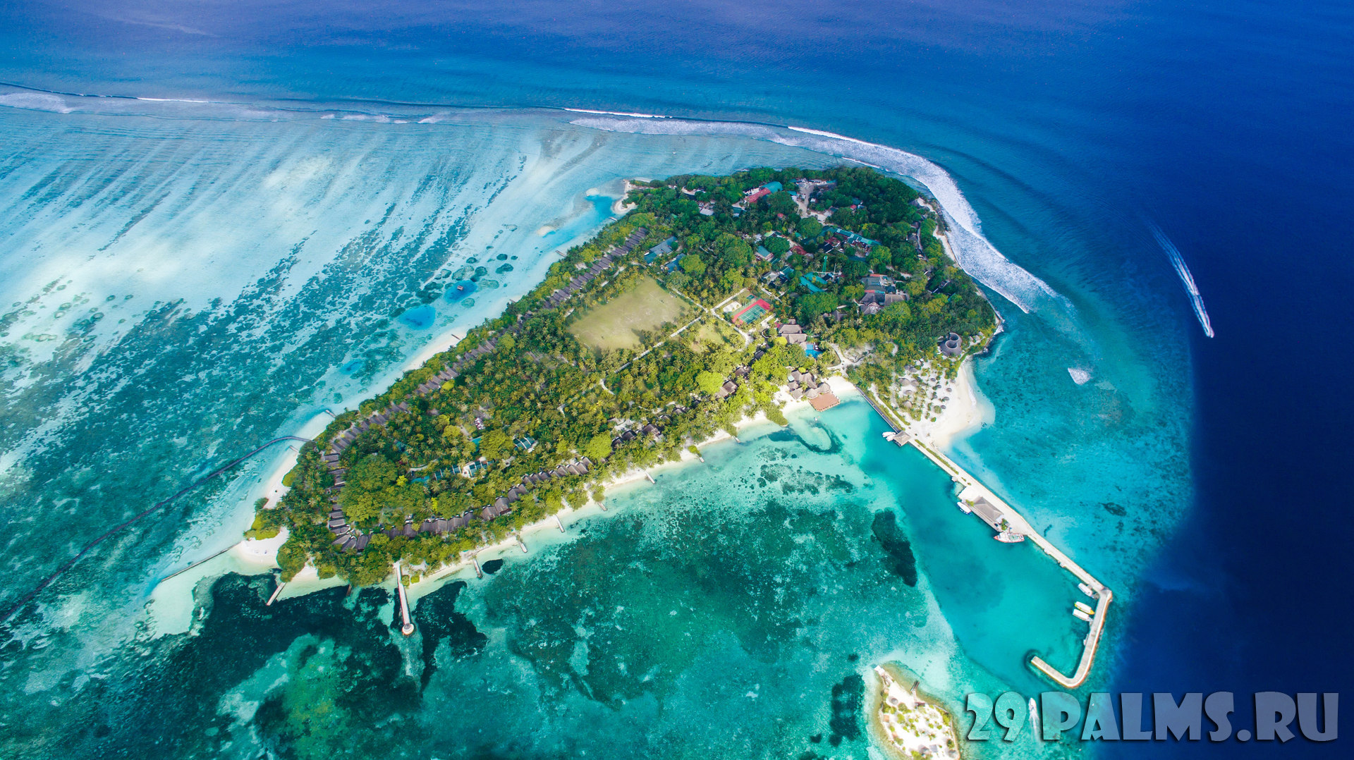 EHUJpzzP-Lohifushi.jpg
