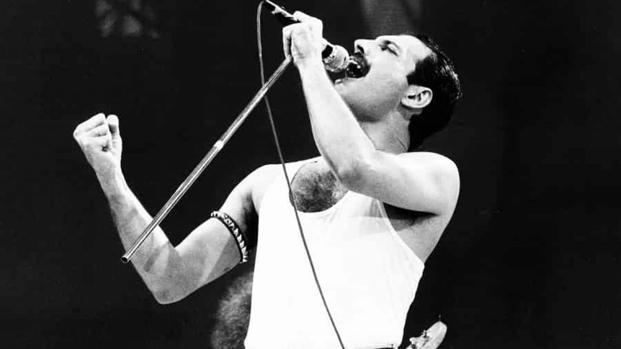 freddie.jpg