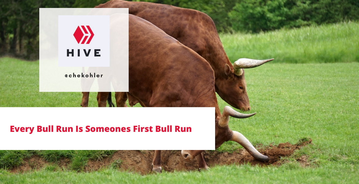 Bullrun.png