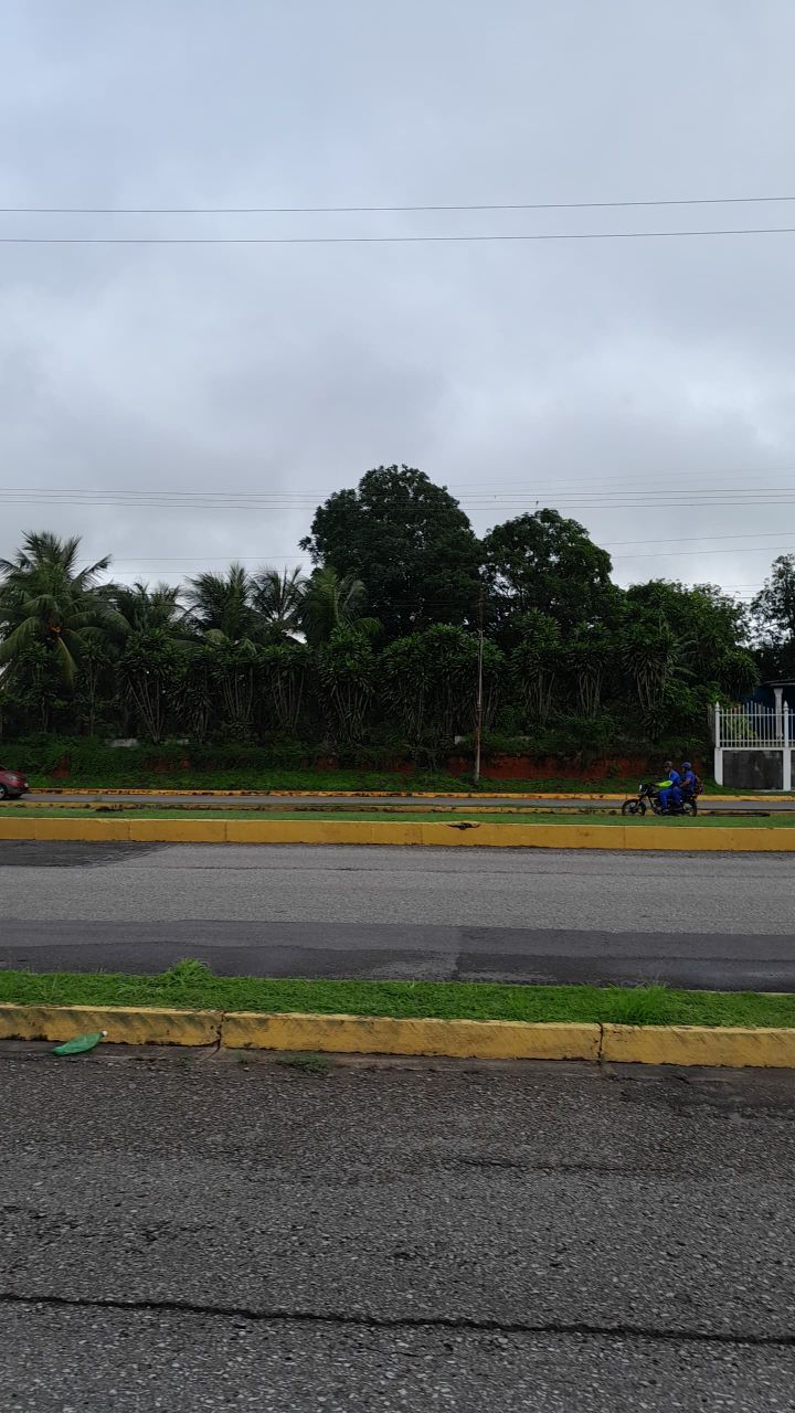 IMG_20250624_102703_838.jpg