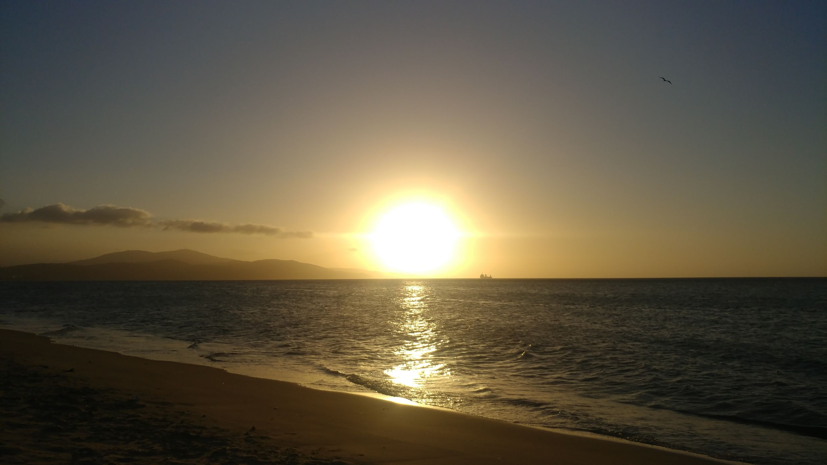 20240123_175845_064808.jpg