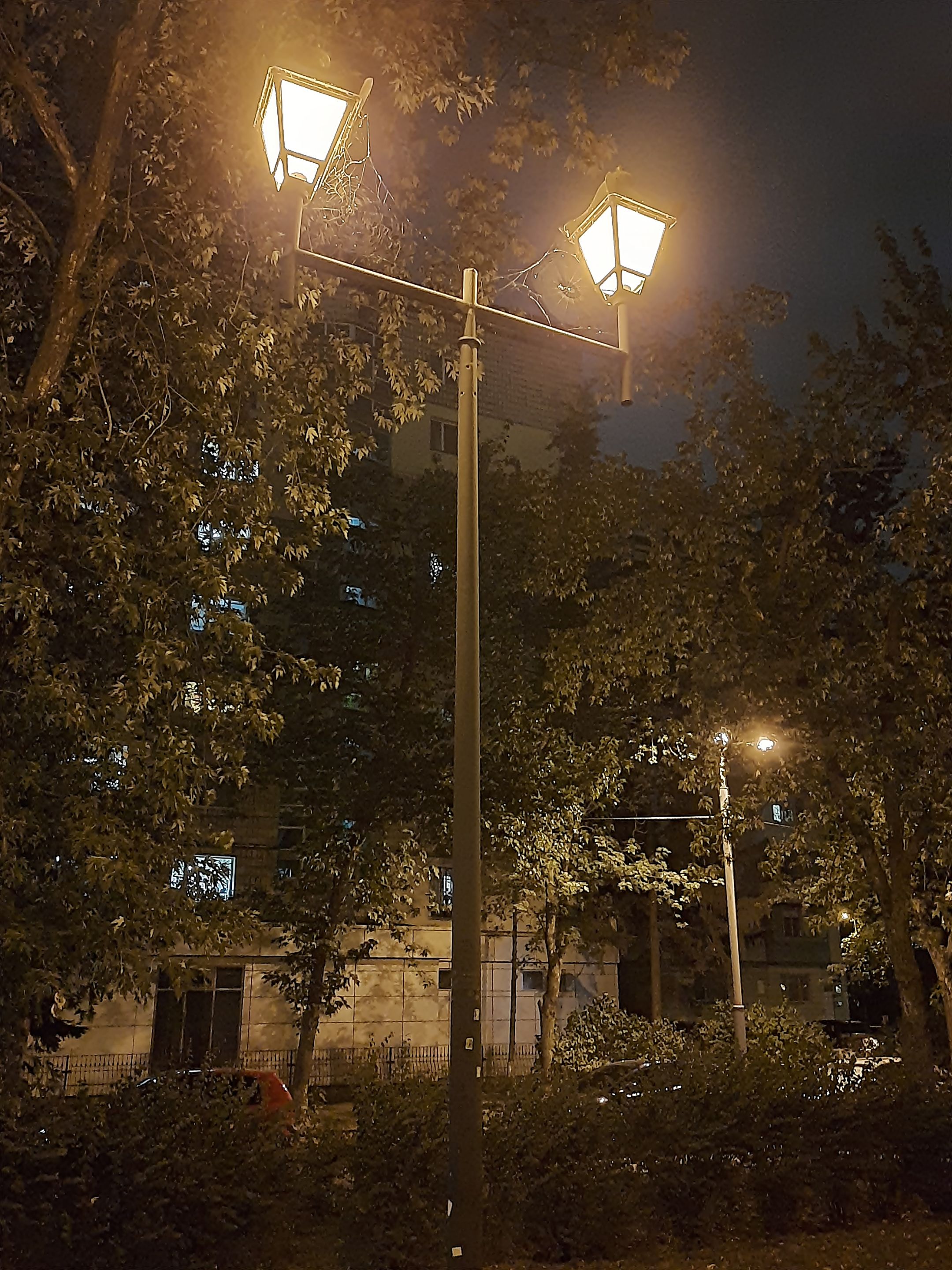 20210824_211010.jpg