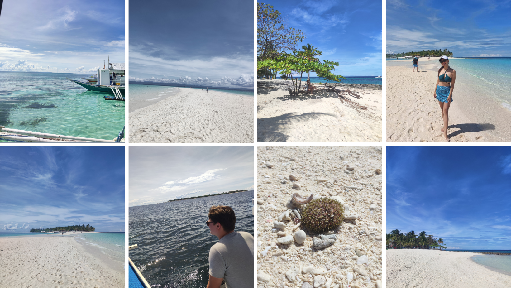 Beige & Blue Aesthetic Minimalist Modern Photo Collage Facebook Cover.png