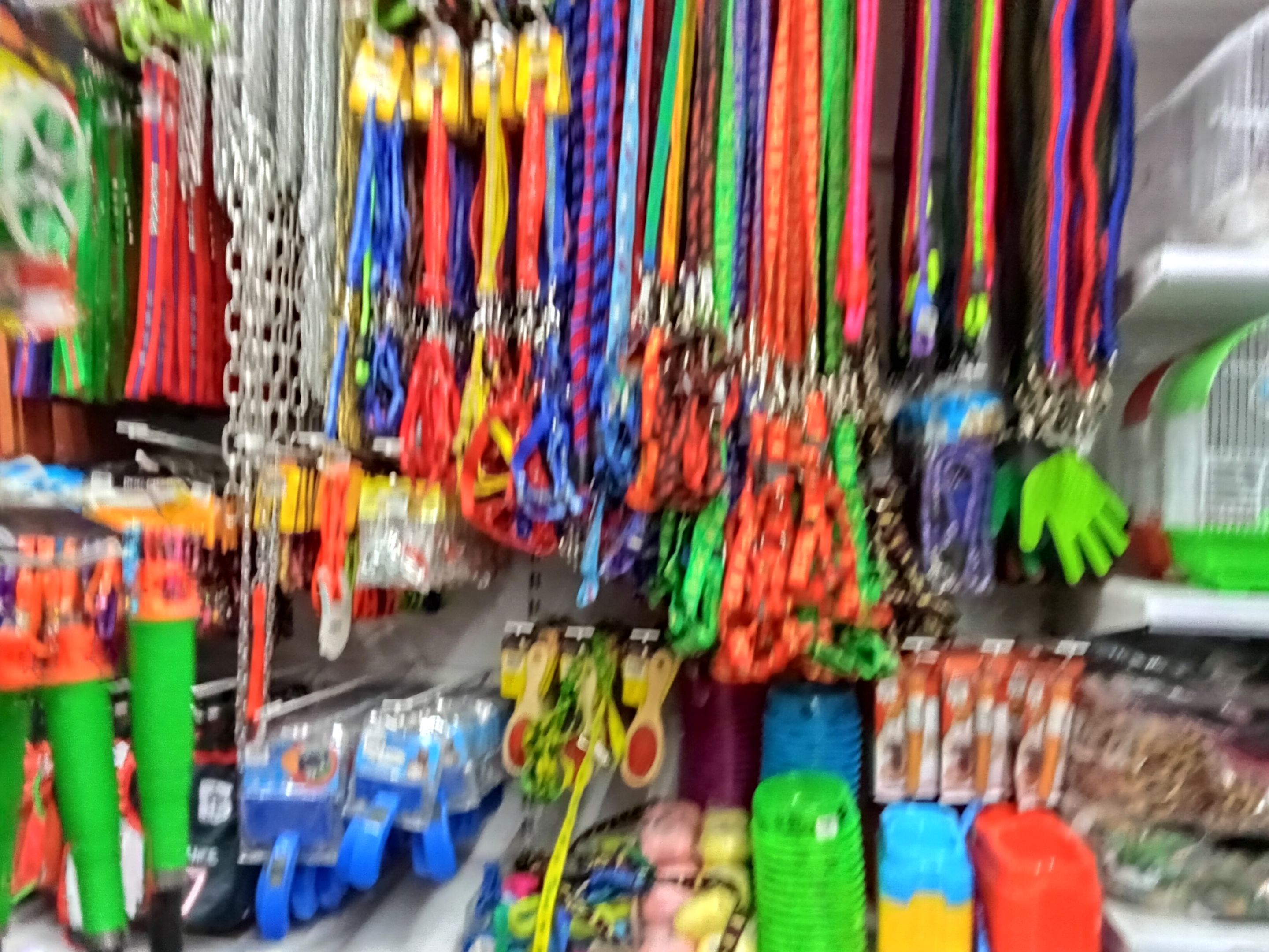 IMG20231124095140.jpg