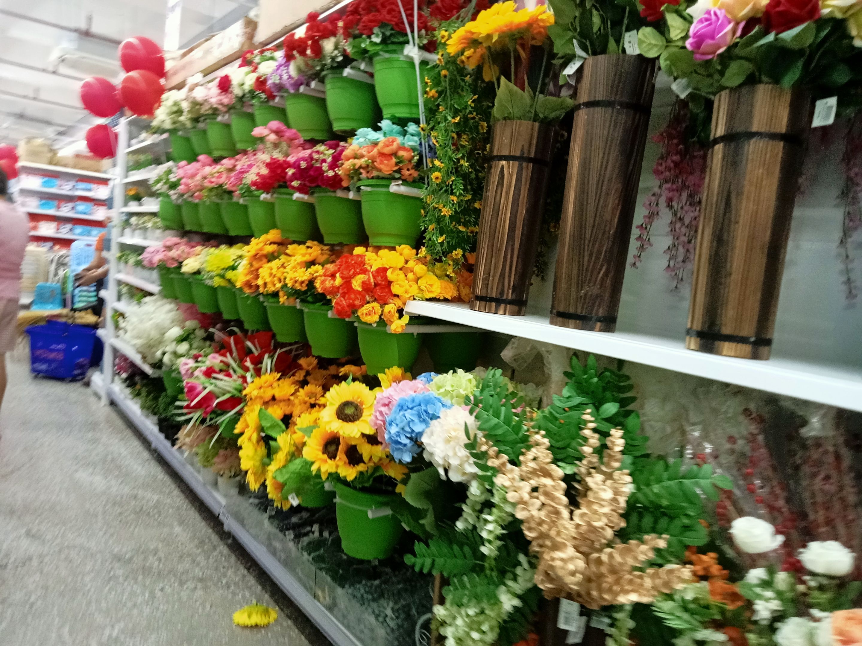 IMG20231124094538.jpg