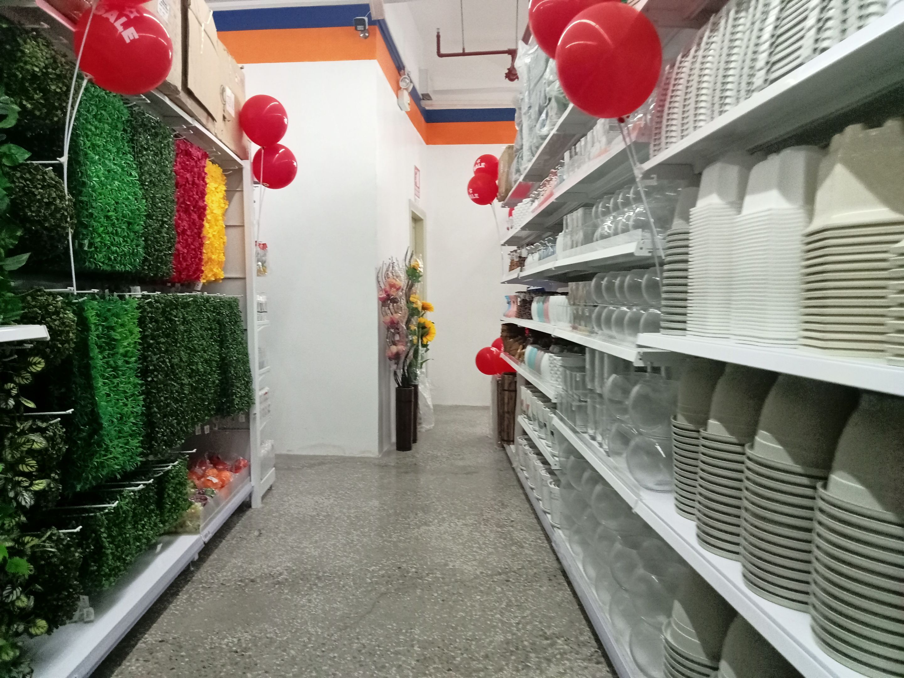 IMG20231124094546.jpg