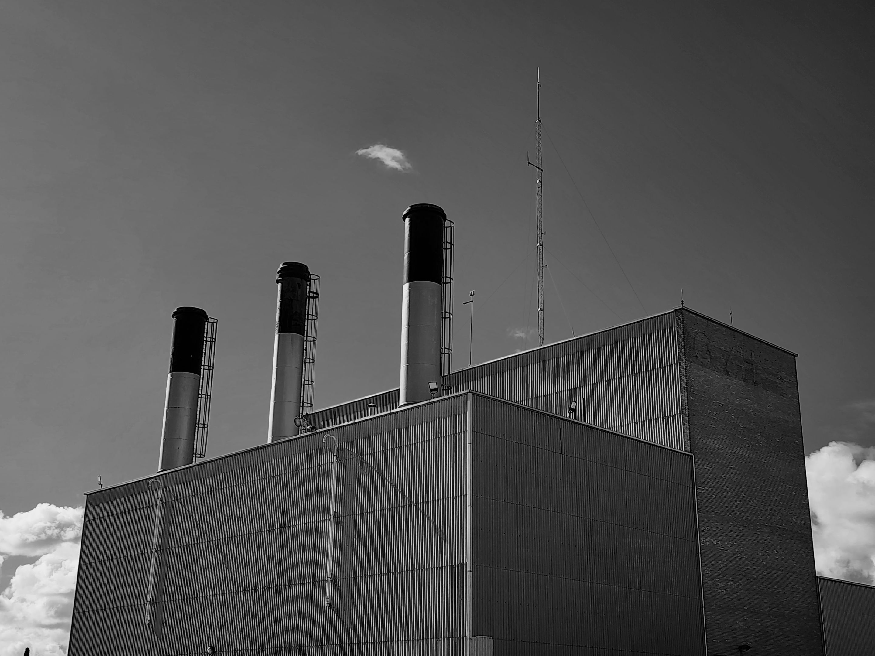 0019055622 (2).jpg