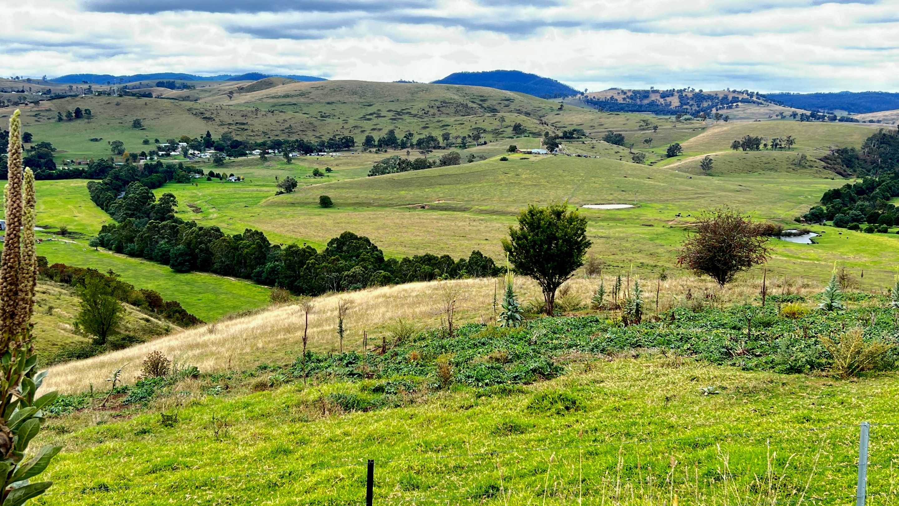 BUCHAN LANDSCAPE.png