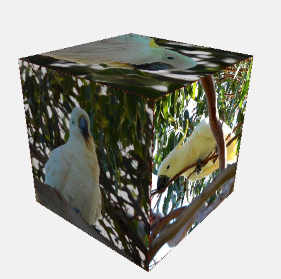 cockys2.png