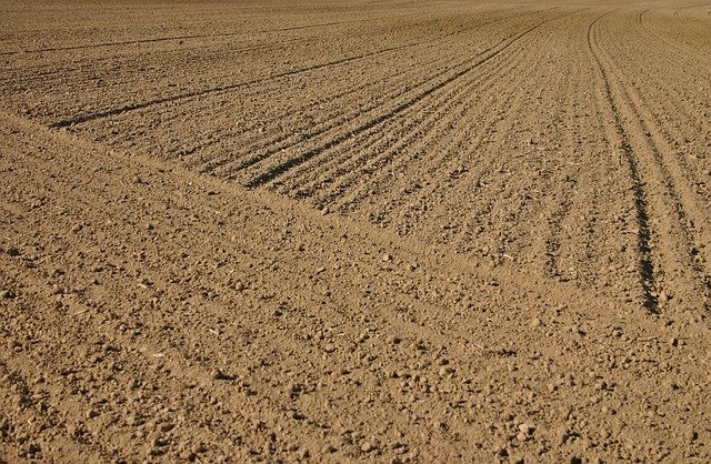 arable1732643_640.jpg