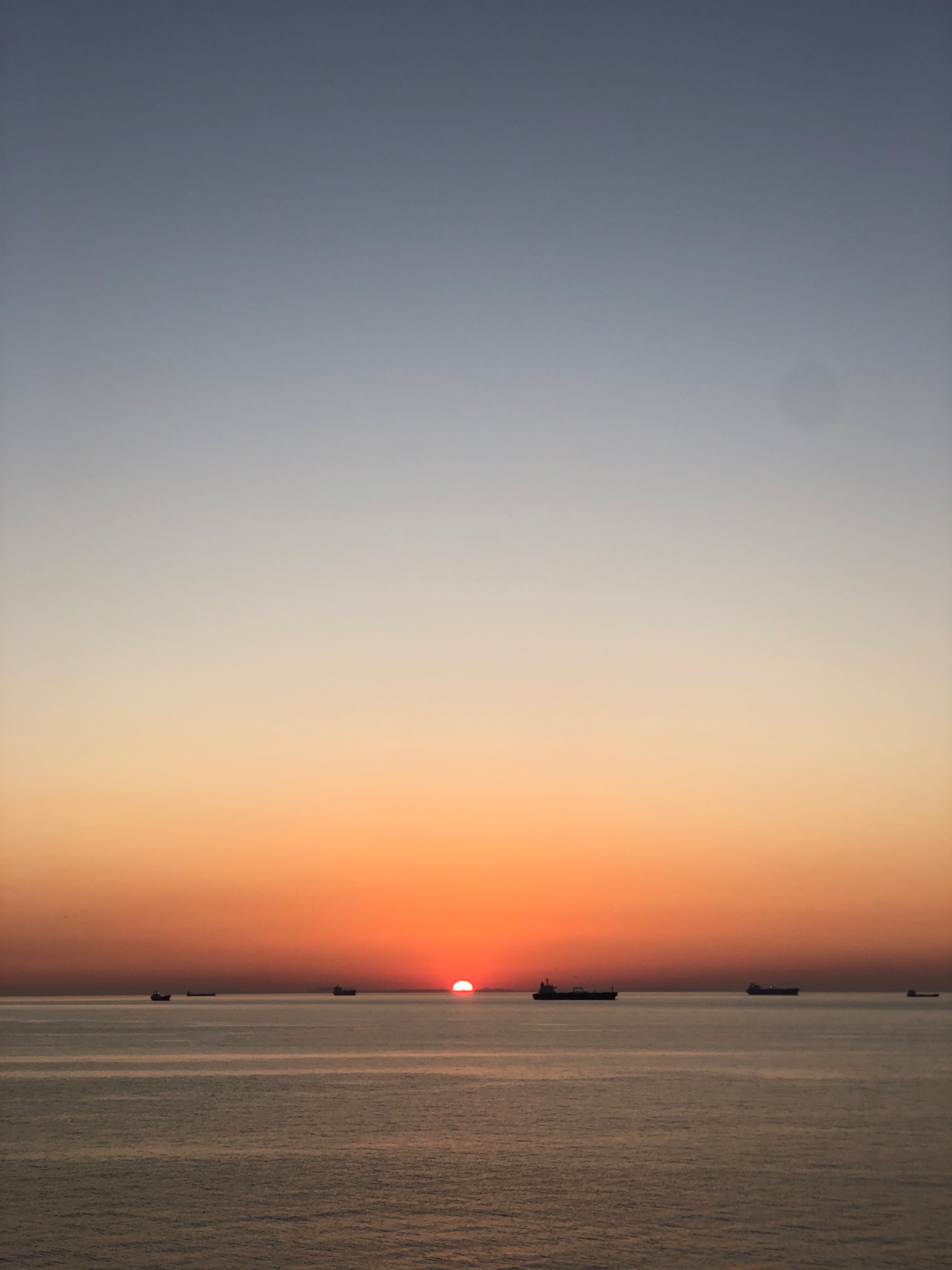 IMG_1928.jpeg