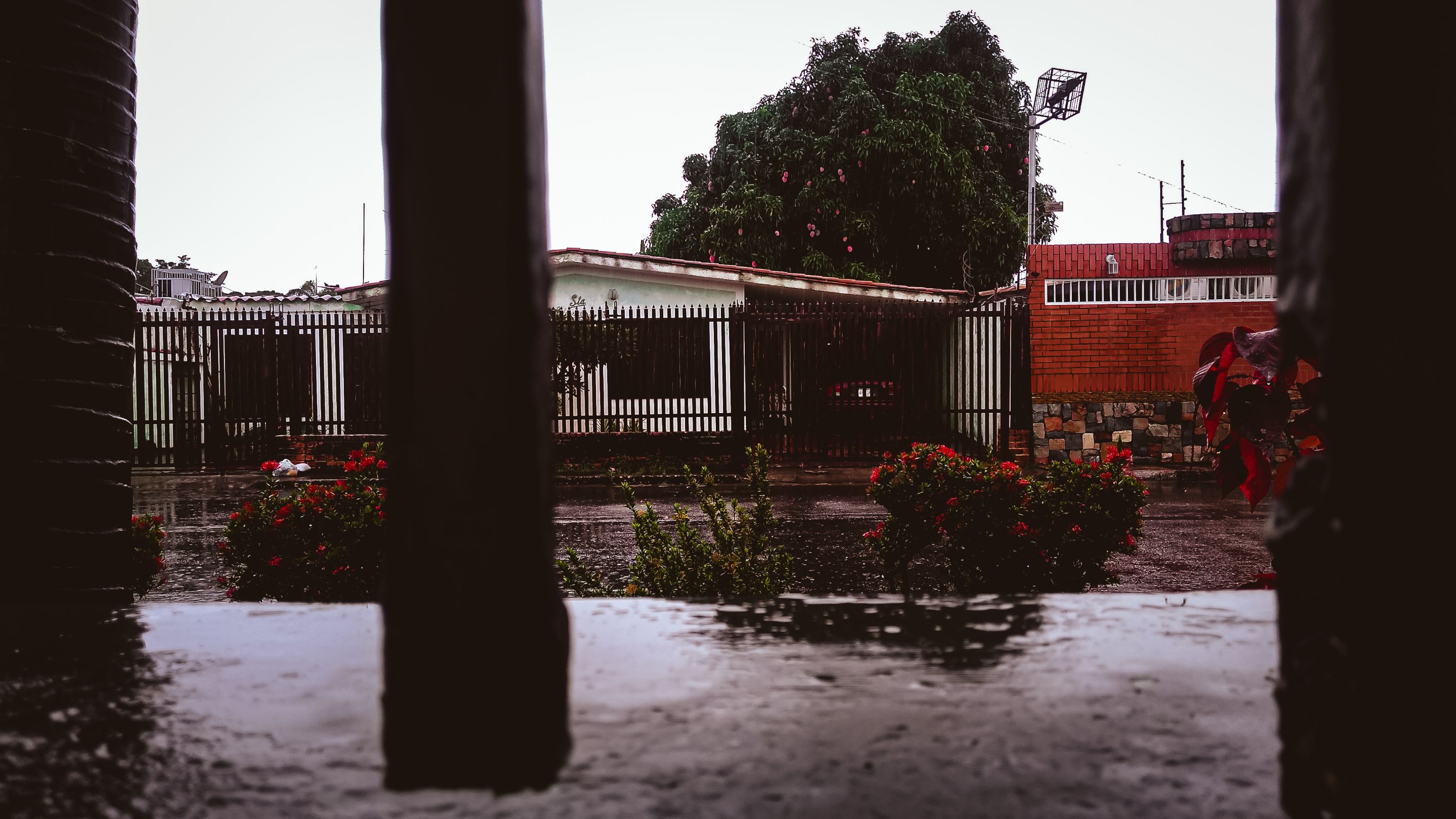lrm_20230726_163204.jpg