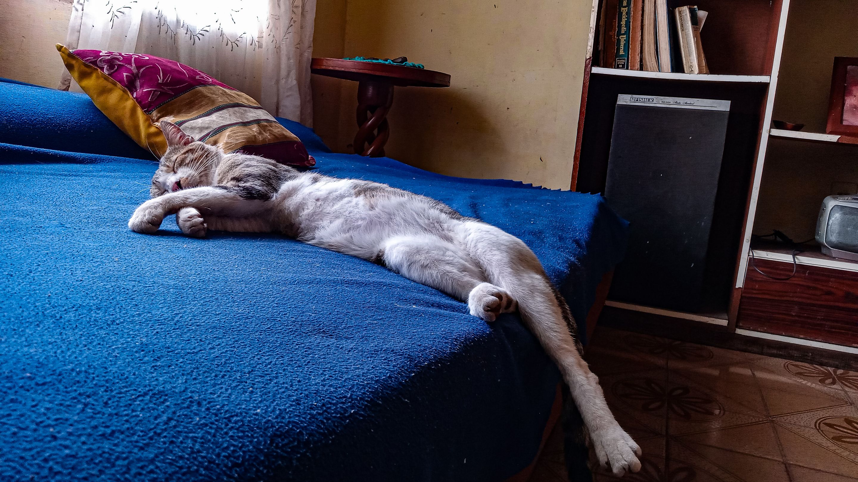 20250610_163208.jpg