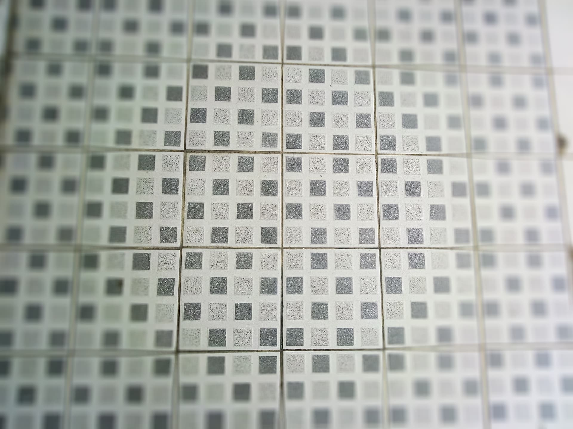 185677191_330362951961177_5988053512921772708_n.jpg
