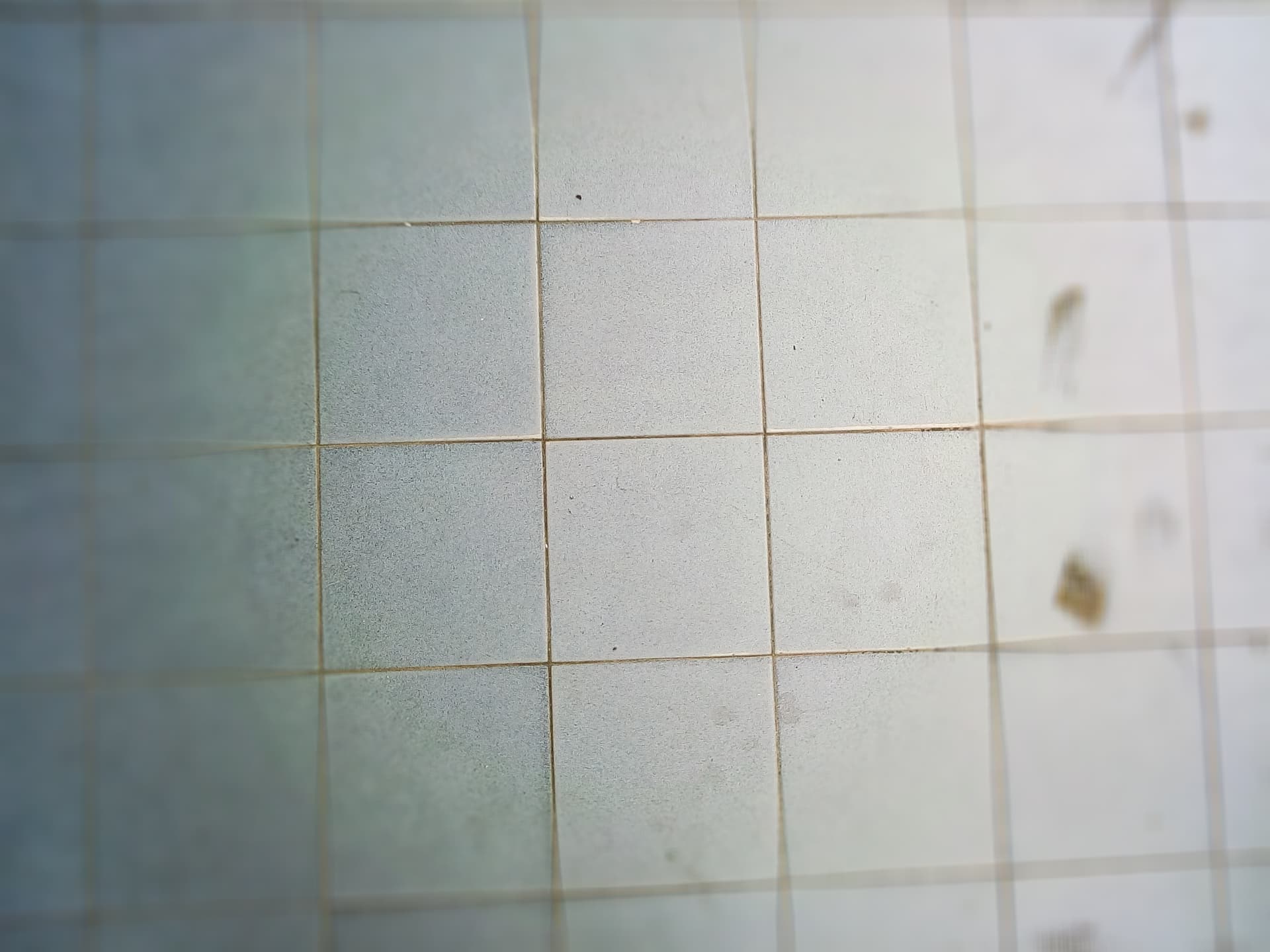 188972400_490644668721803_4350146412095217794_n.jpg