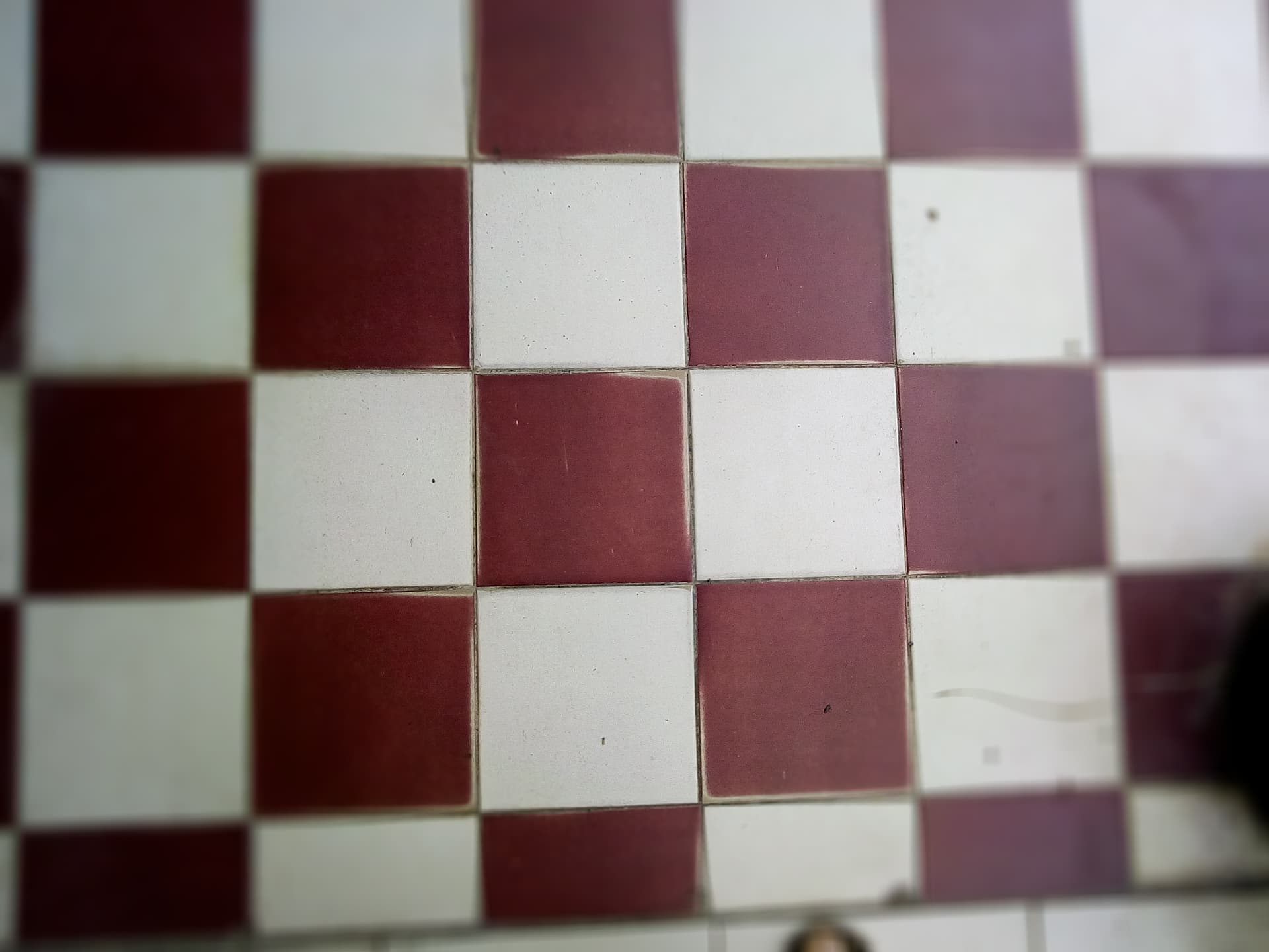 187146173_813453235955220_2122401399593550621_n.jpg