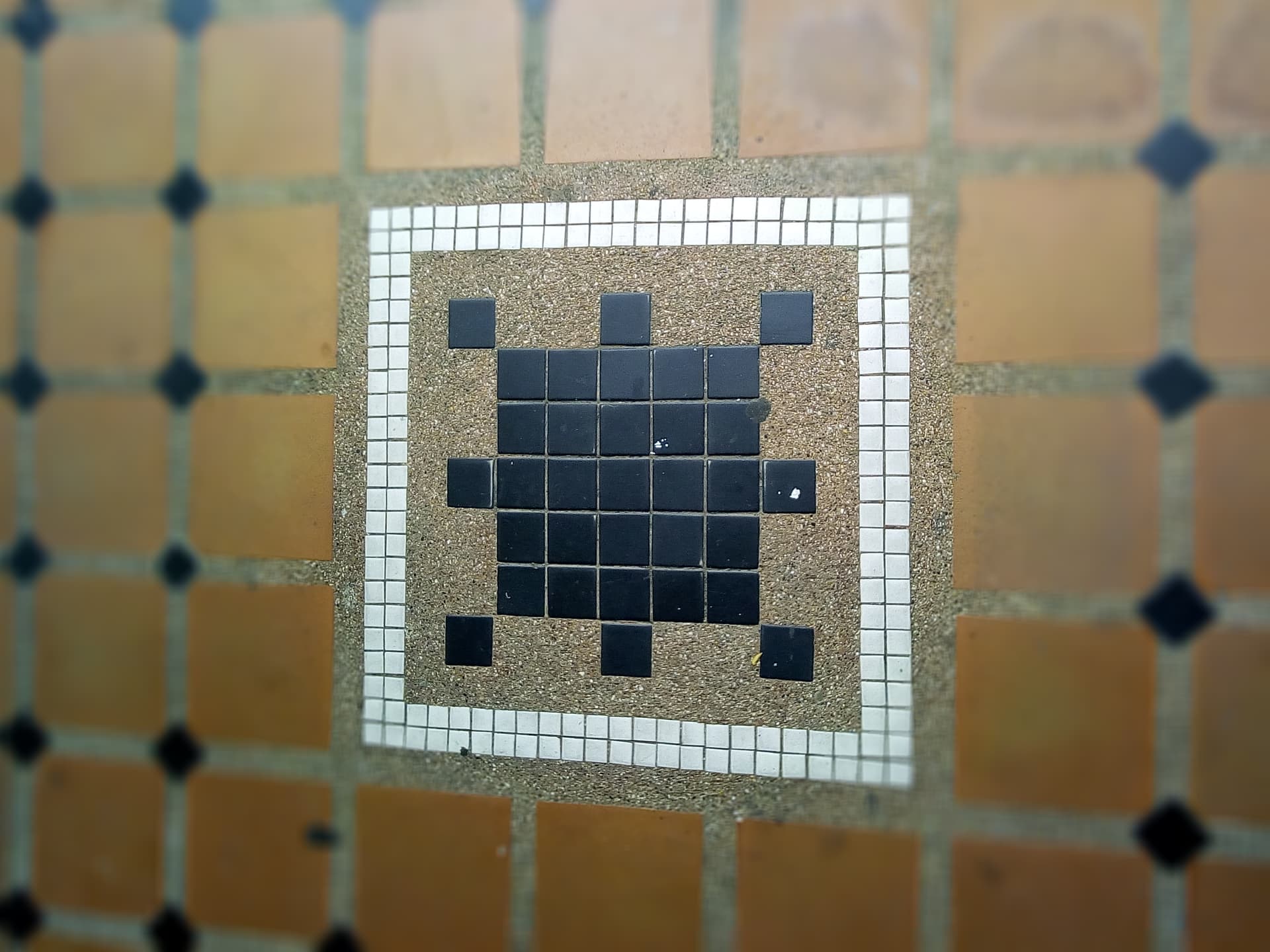 186464444_528614041626766_9132628302348692258_n.jpg