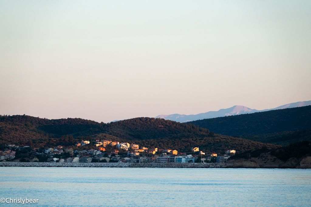 20230811-DSC04700.jpg