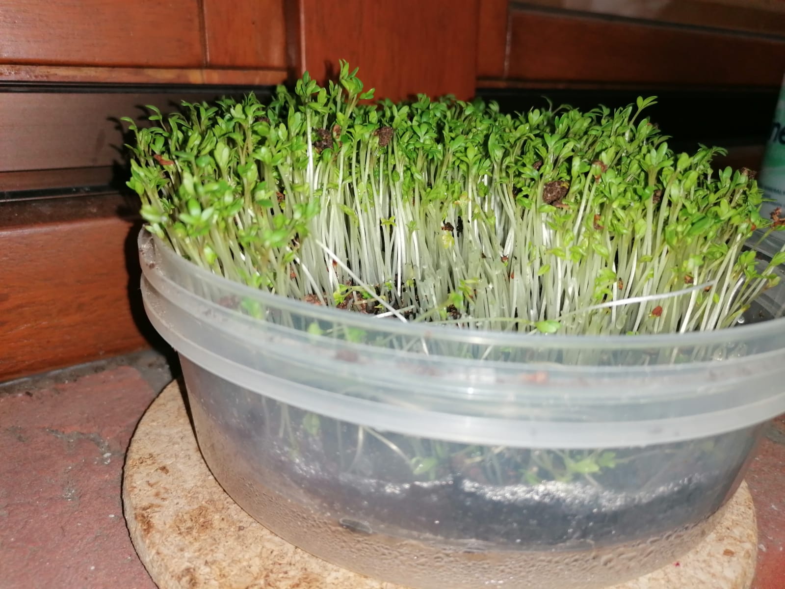 Image2