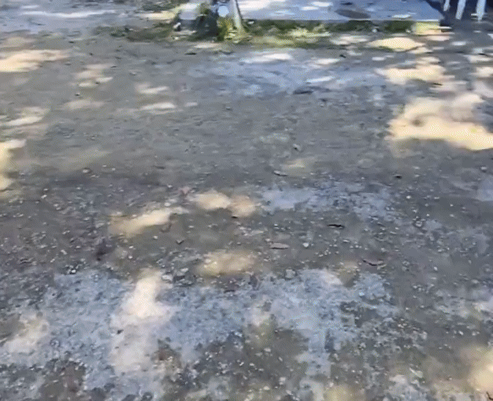 1000028200.gif