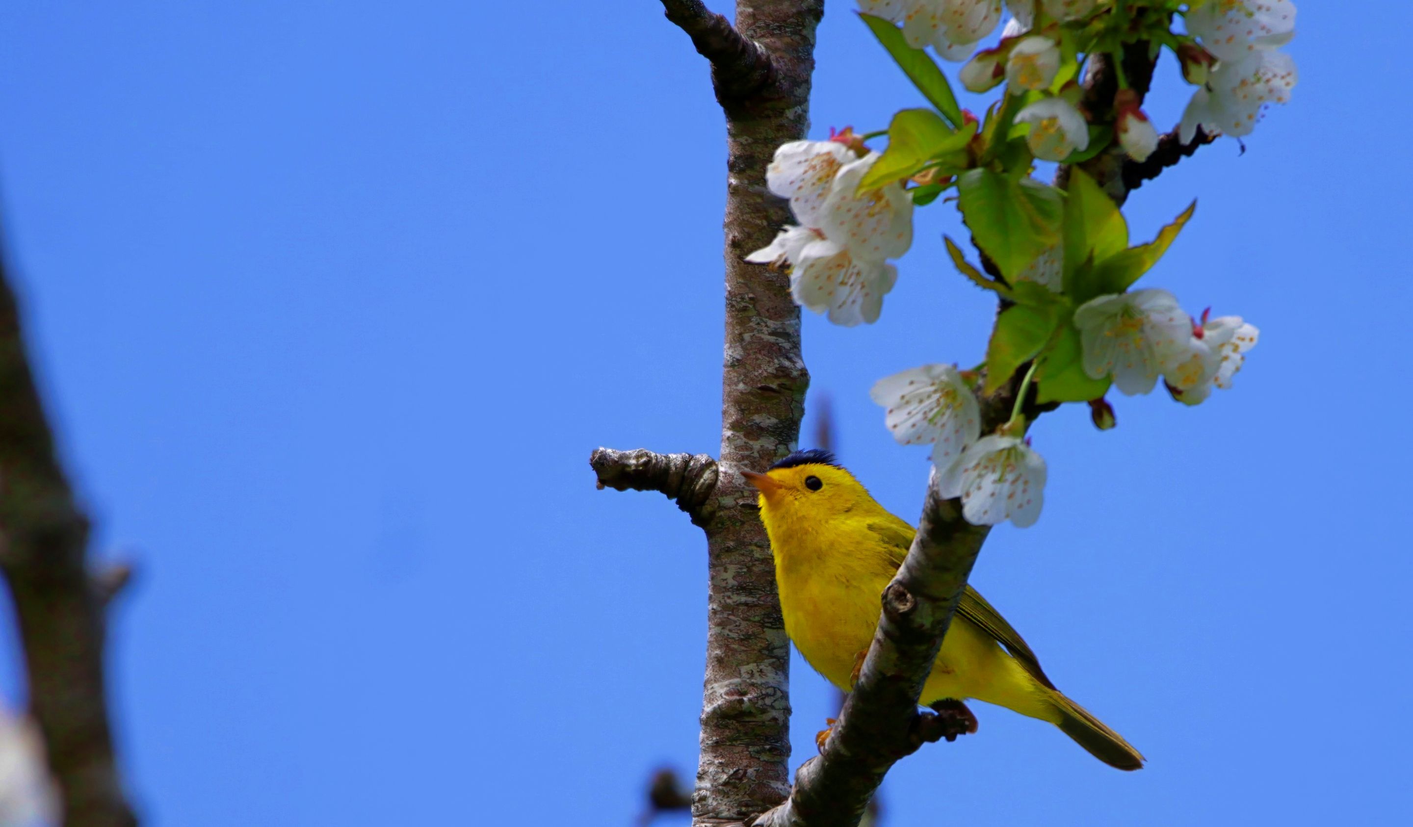 _MG_1072-topaz-denoise-sharpen.JPG
