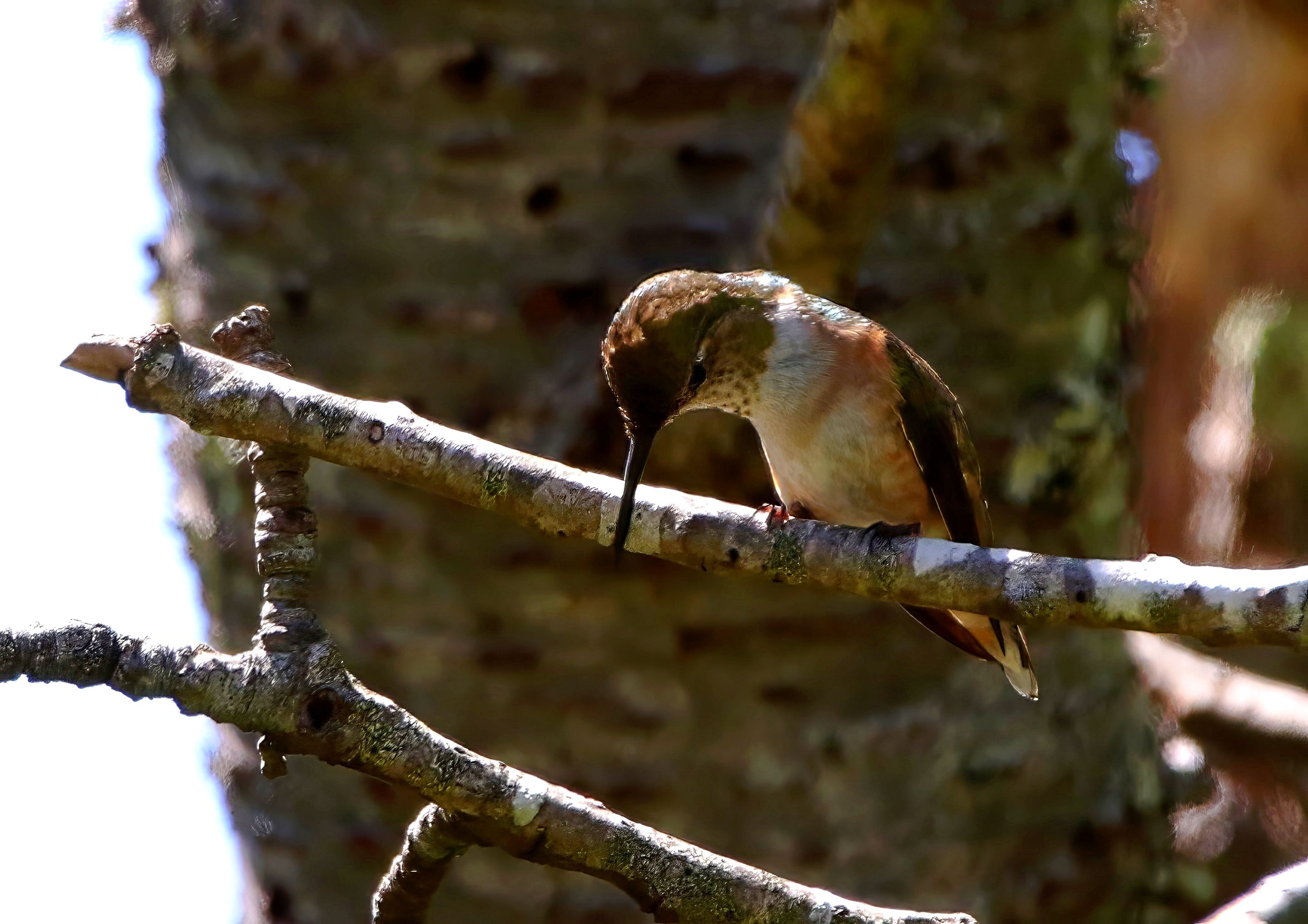 F57A3651-topaz-denoise-enhance-sharpen.jpg
