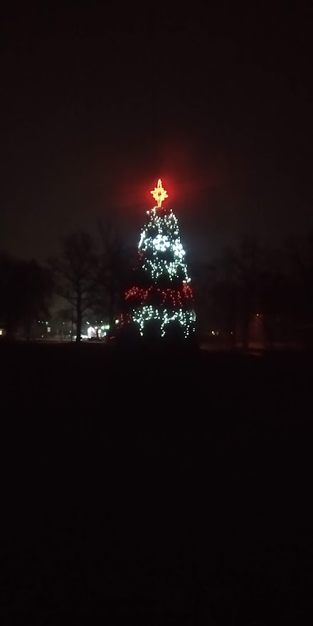 IMG_20201230_194924.jpg