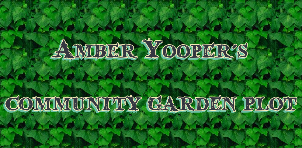 garden plot.png