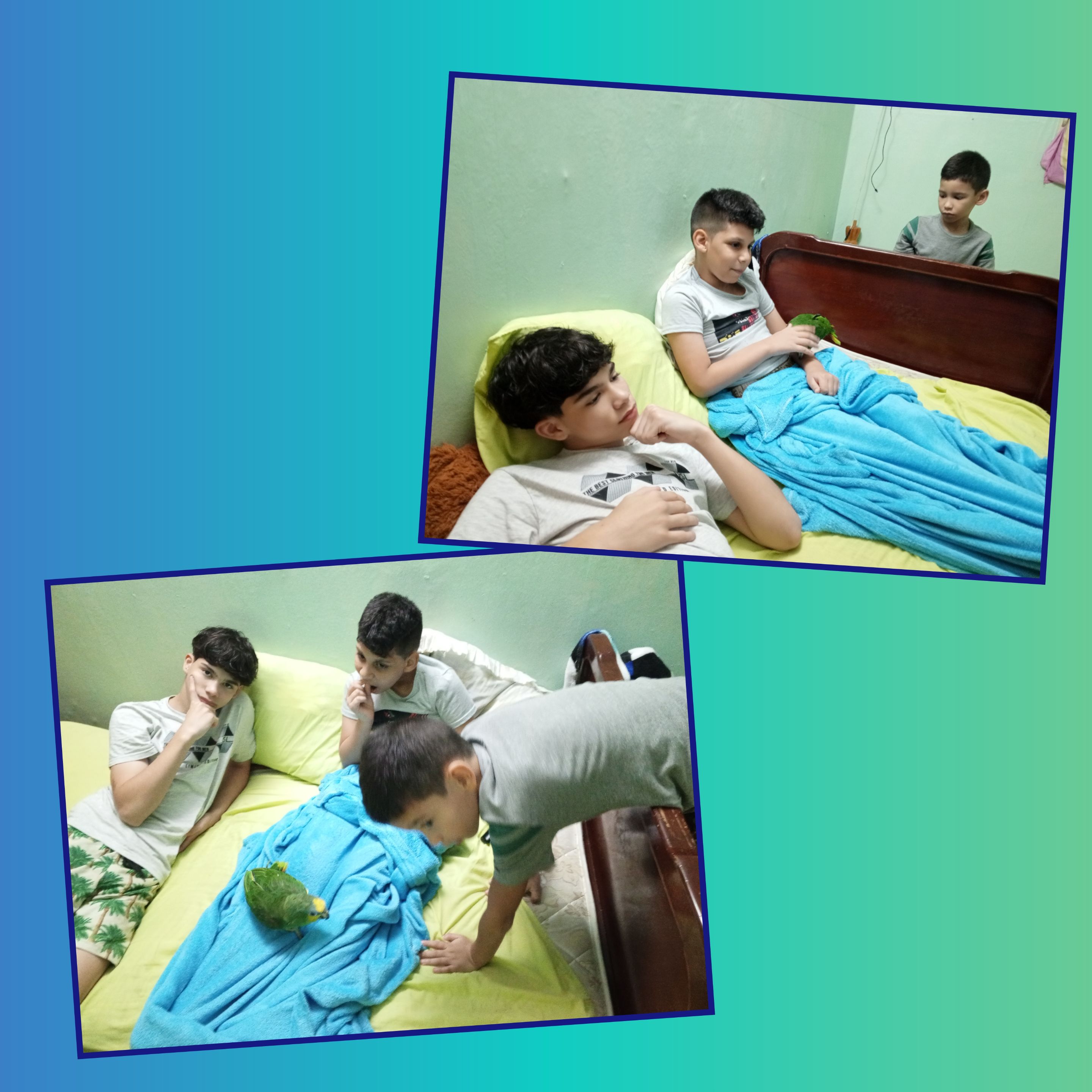 Image from post