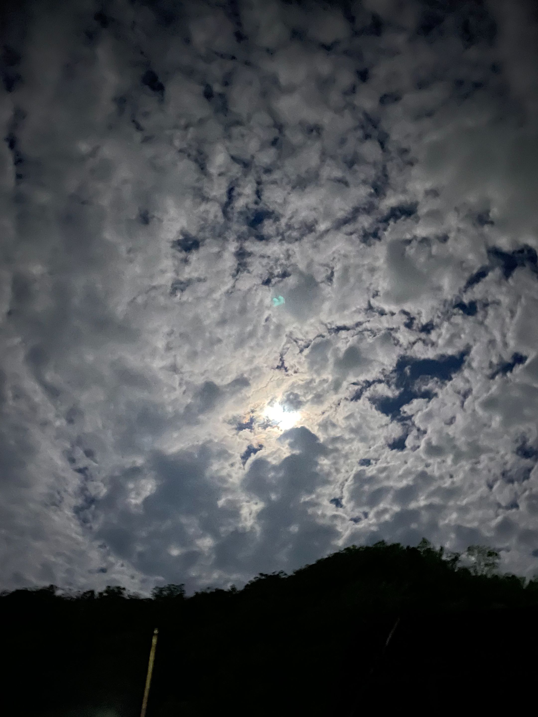 D8C03EC5-12FF-477F-90B7-0324A48A8993.jpg