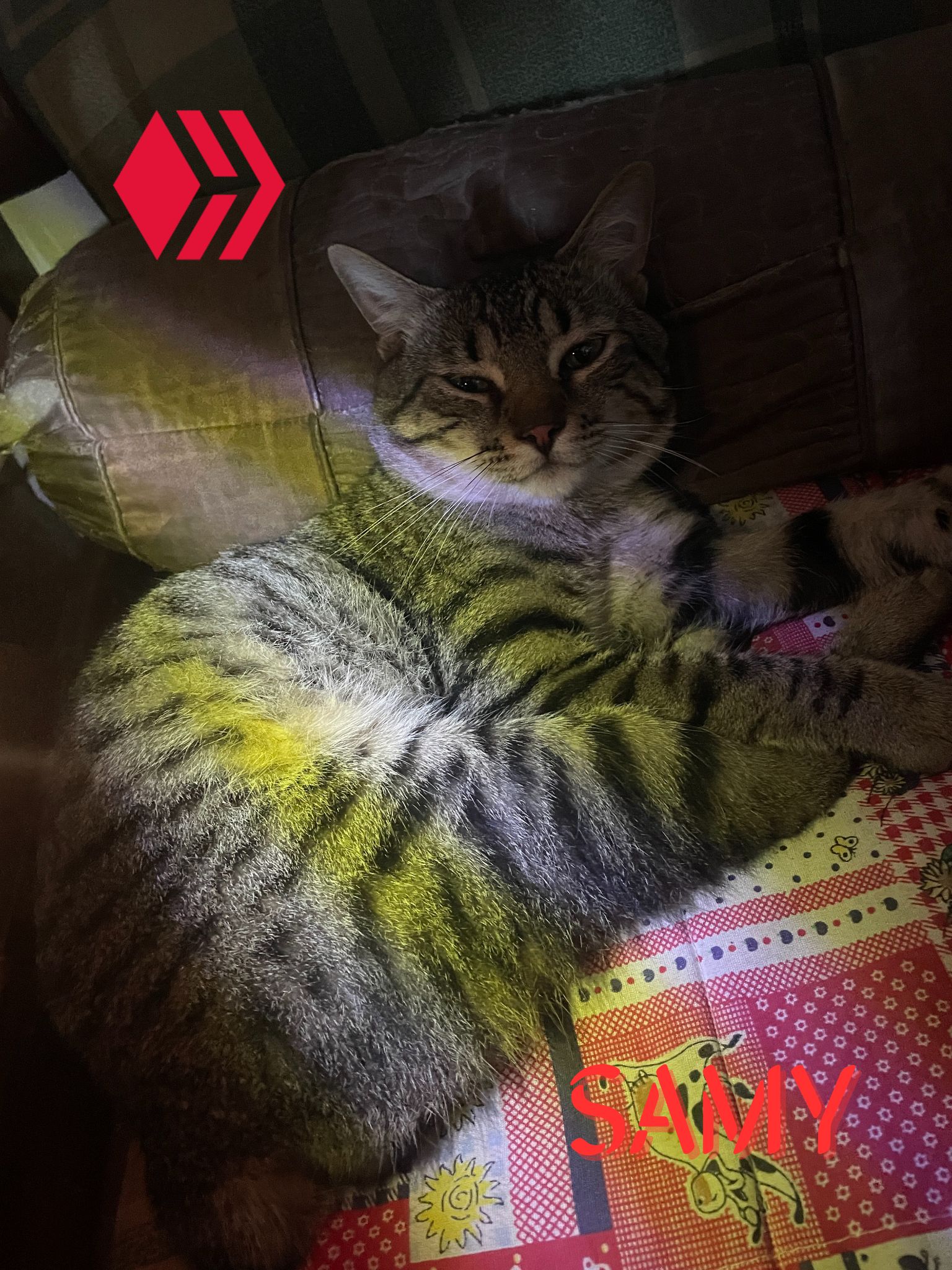 SAMY.png