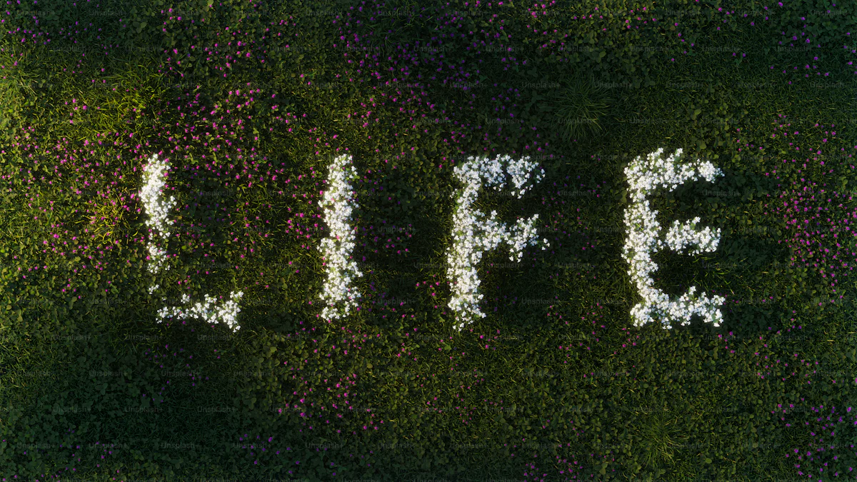 76F30775-83C6-4FF2-A71E-0AC016557A05.webp