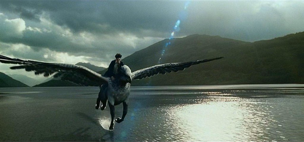 harry.jpeg