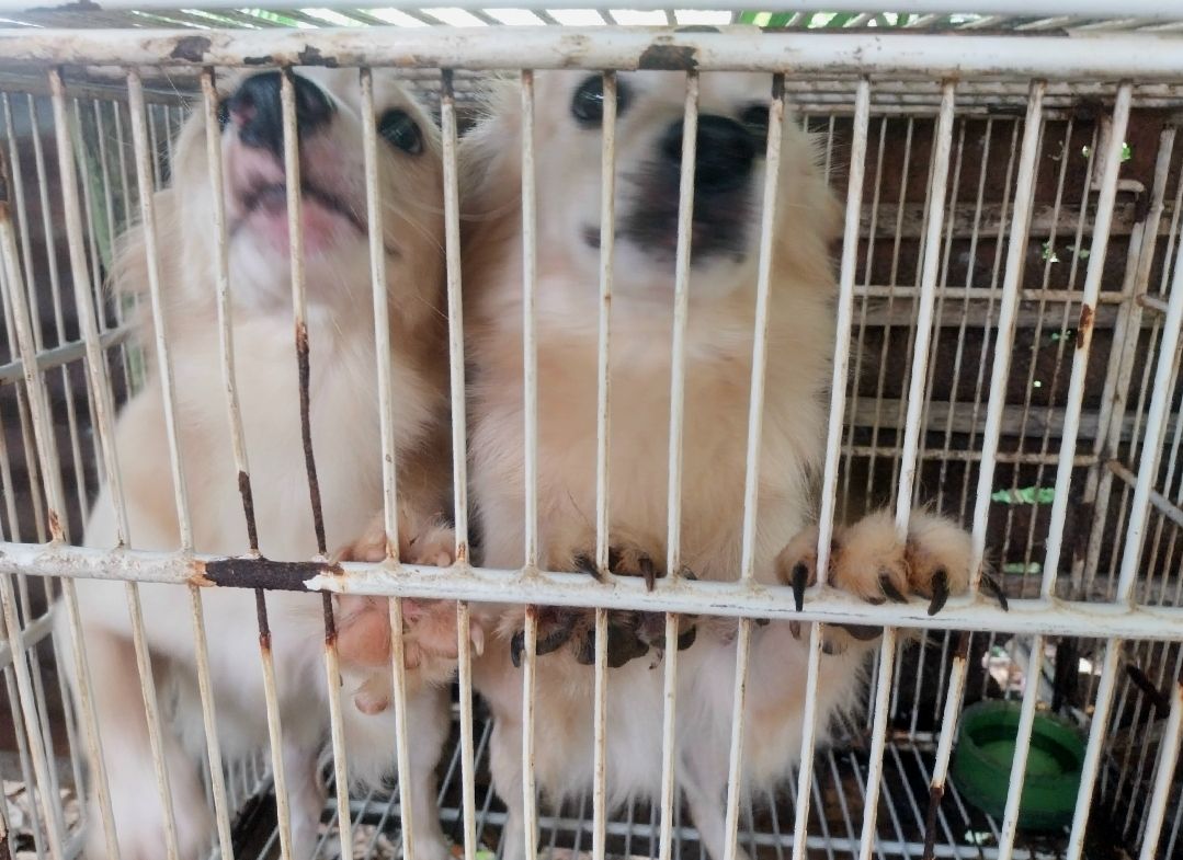 Screenshot_20251024_150529_Photo Editor.jpg