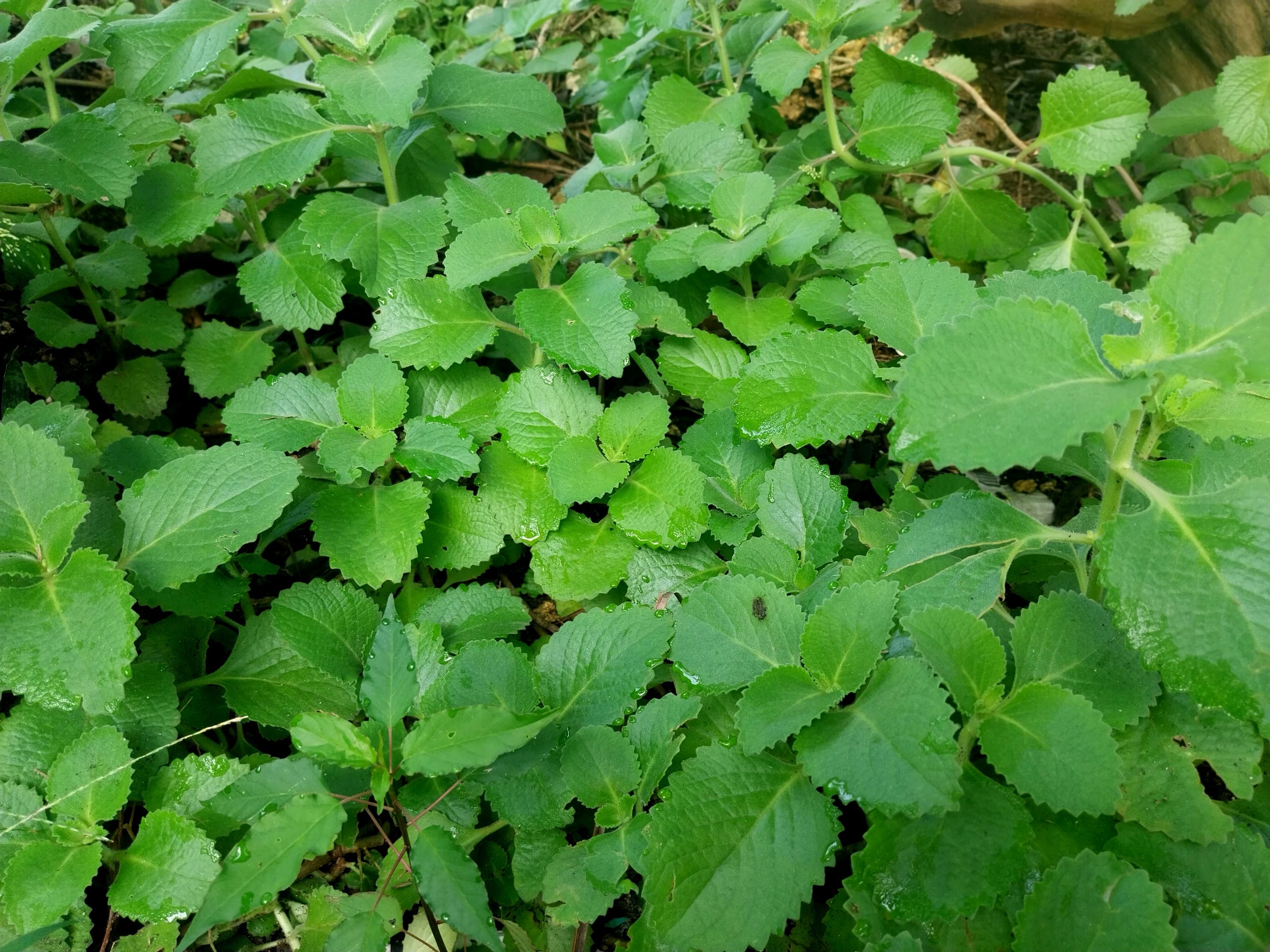 20250927_080540.jpg
