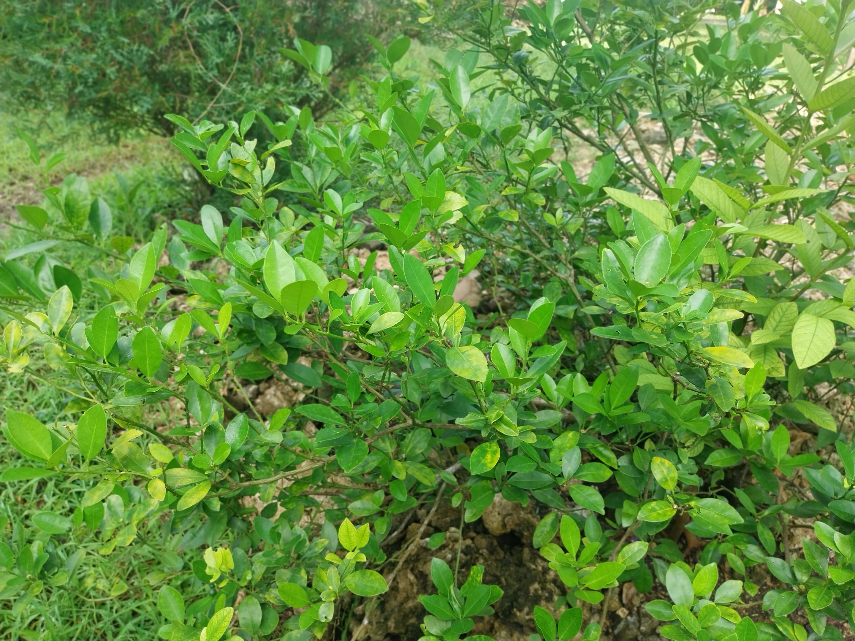 20250927_080513.jpg