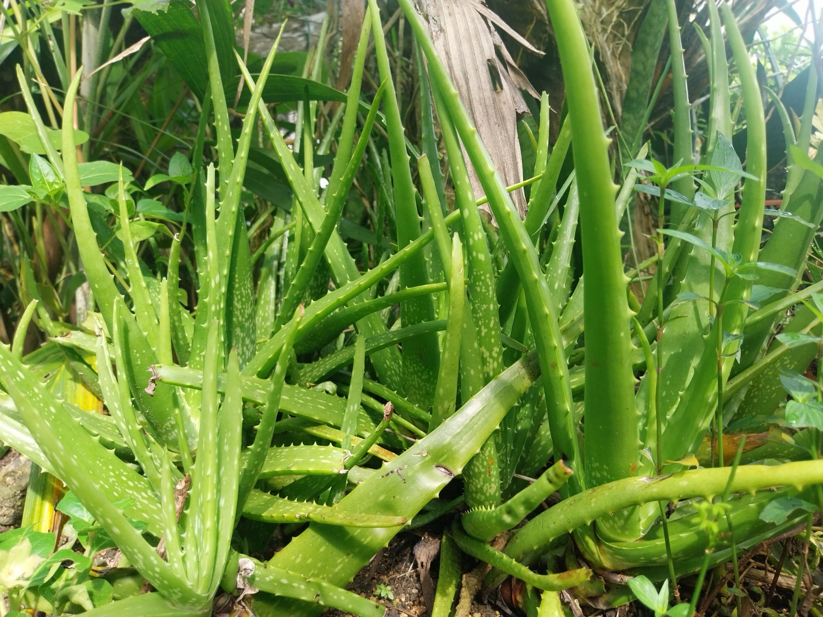 20250927_081025.jpg