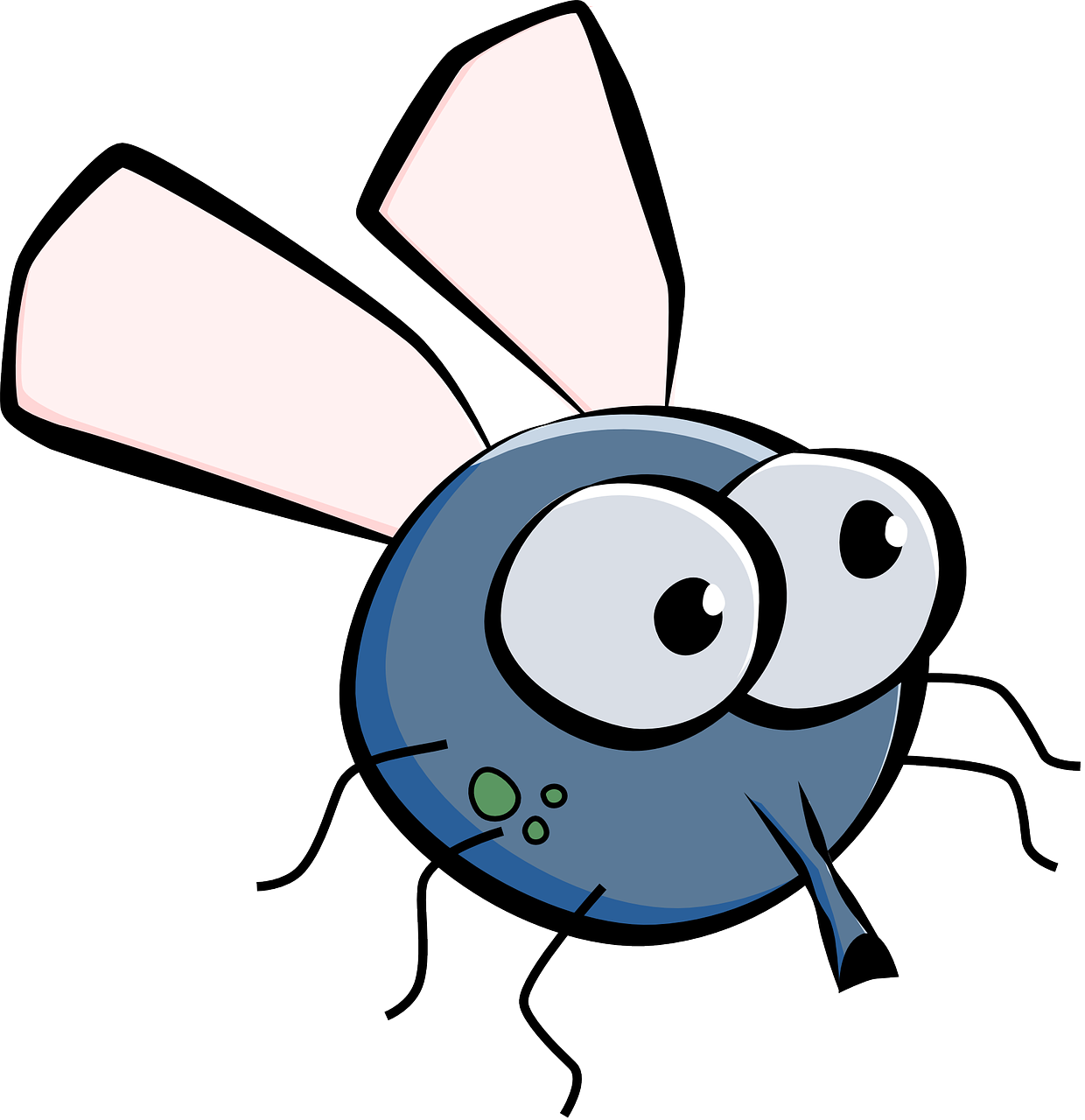 housefly-155460_1280.png
