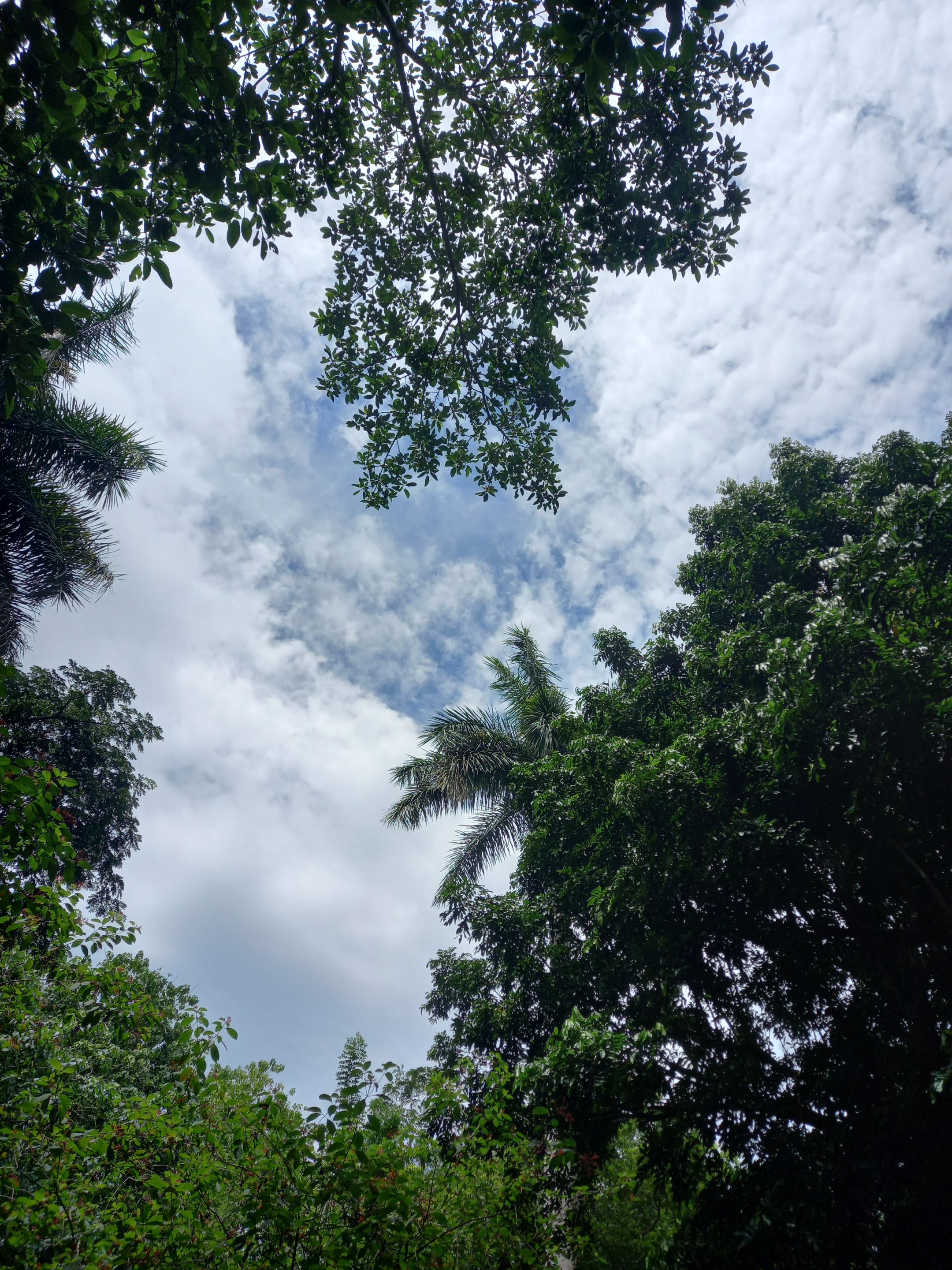 20230902_140902.jpg